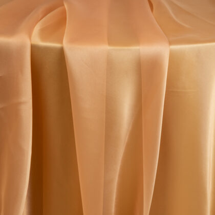 Gold Organza 2 Tablecloth