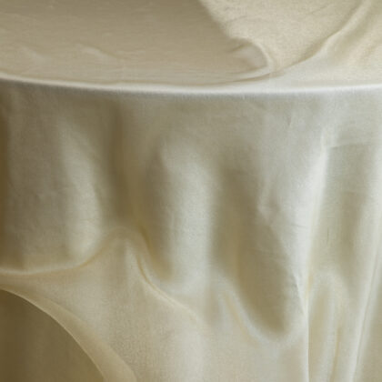 Light Gold Organza 2 Tablecloth